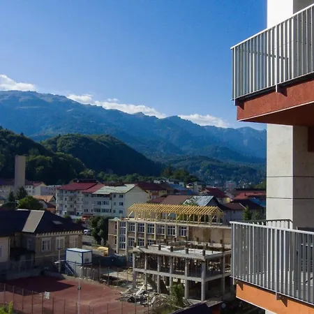 View * Sinaia