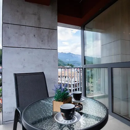 View Apartment Sinaia