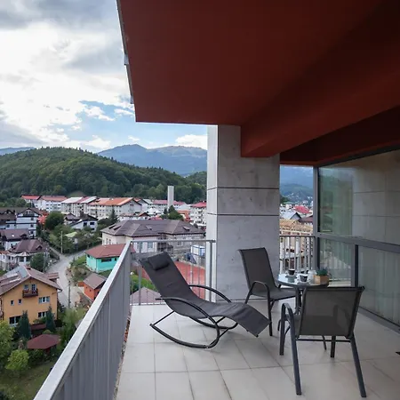 View * Sinaia