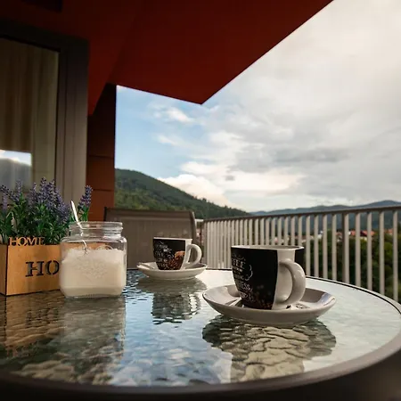 View Apartment Sinaia